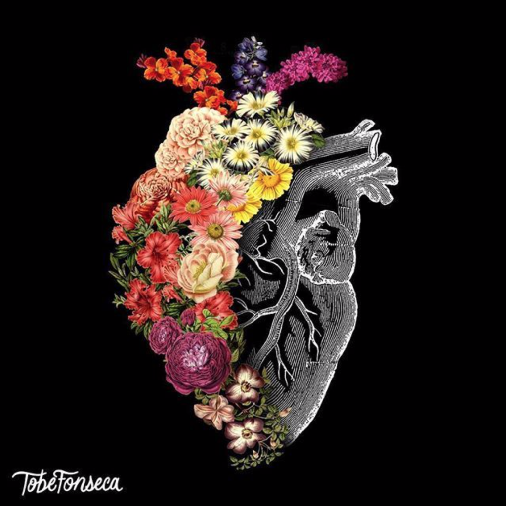 a human heart with one side blossoming into beautiful flowers, and the other a grey anatomical representation of the heart with its veins and valves