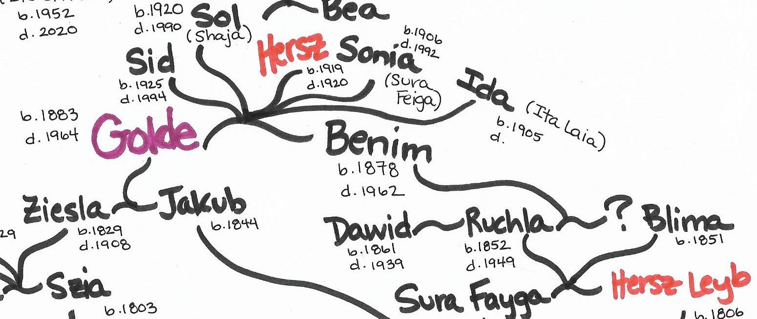 a hand drawn family tree with the author at the top and ancestors back to the mid-1700s at the bottom. centers Golde, the matriarch who is the focus of the story in this blog post, and her baby Hersz who died. most print in black and white except for title and Golde's and Hersz's names.
